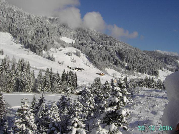 Ferienapartments Reusch Sankt Martin am Tennengebirge Extérieur photo
